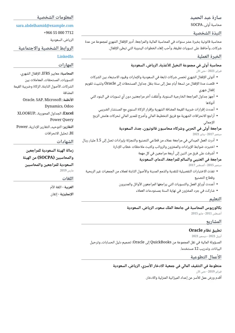 نموذج سيرة ذاتية لـ محاسب بتصميم عمودان