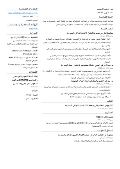 نموذج سيرة ذاتية لـ محاسب بتصميم عمودان