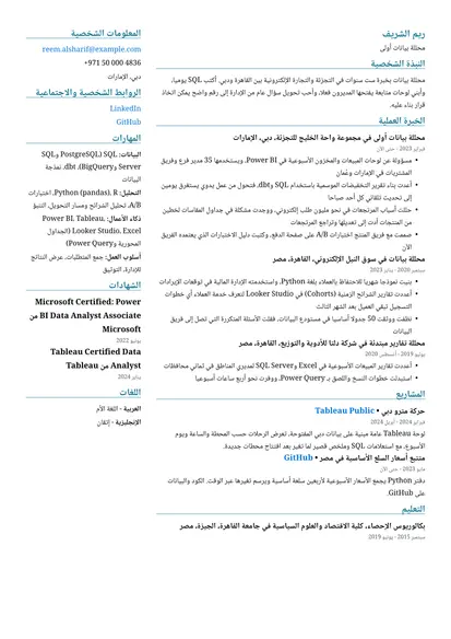 نموذج سيرة ذاتية لـ محلل بيانات بتصميم عمودان