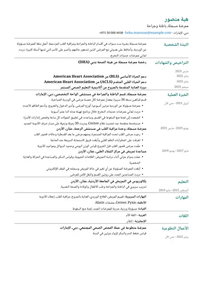 نموذج سيرة ذاتية لـ ممرض مسجل بتصميم بسيط