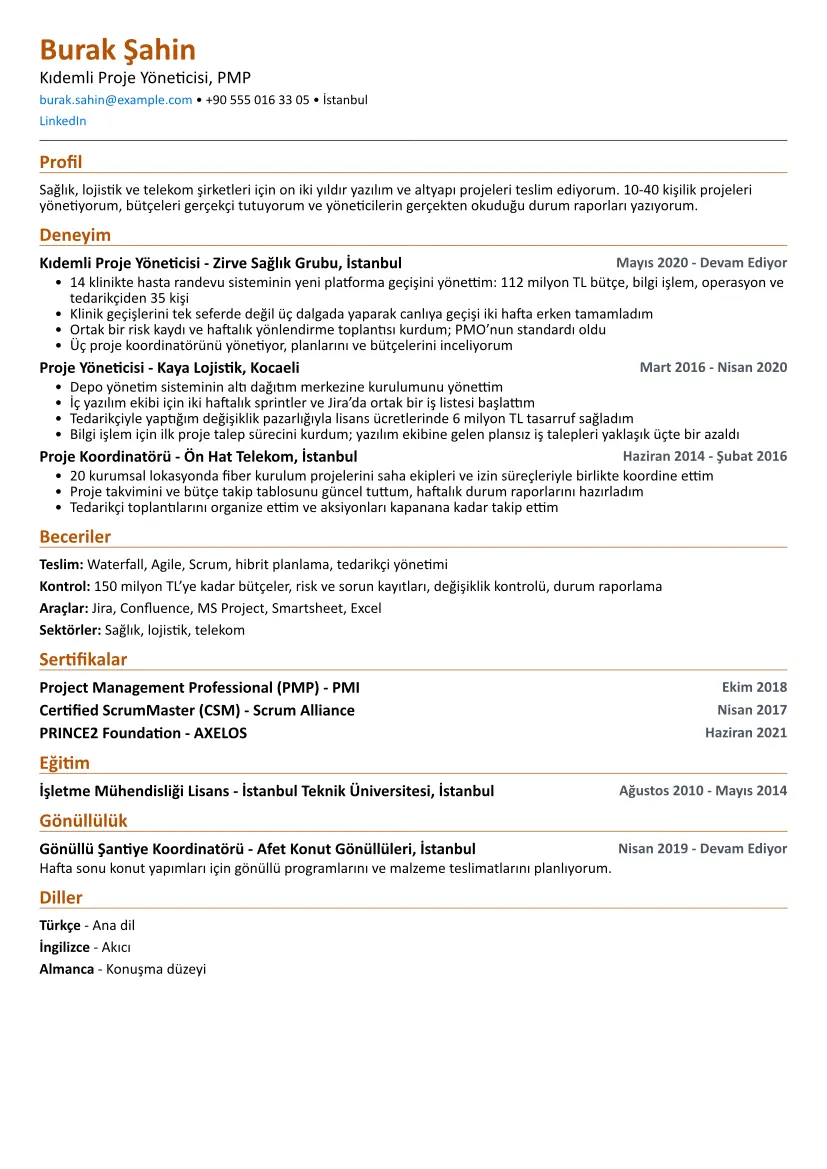 Kompakt düzeninde Proje Yöneticisi örnek özgeçmişi
