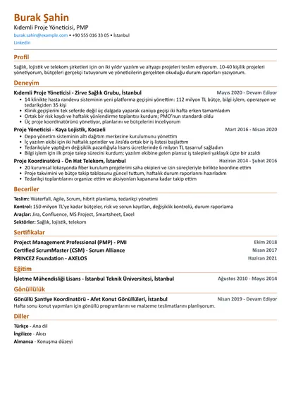 Kompakt düzeninde Proje Yöneticisi örnek özgeçmişi