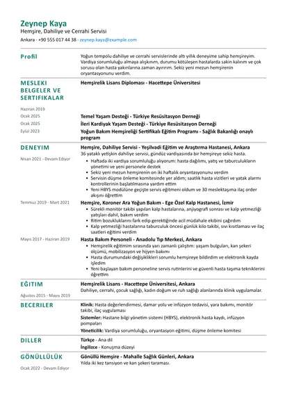 Sade düzeninde Hemşire örnek özgeçmişi