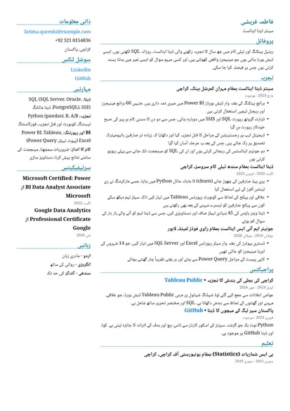 دو کالم لے آؤٹ میں ڈیٹا اینالسٹ کا نمونہ ریزیومے