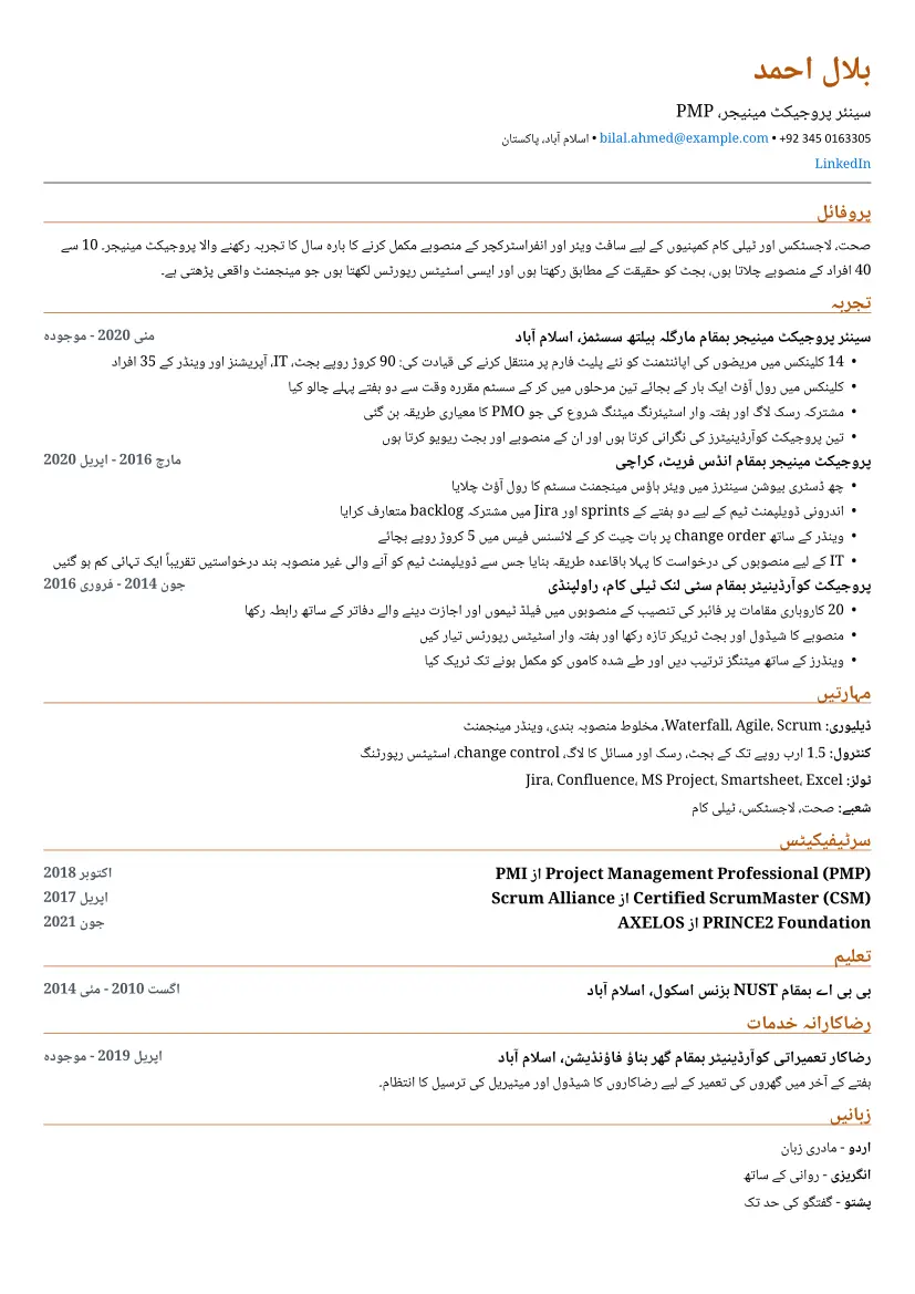 مختصر لے آؤٹ میں پروجیکٹ مینیجر کا نمونہ ریزیومے