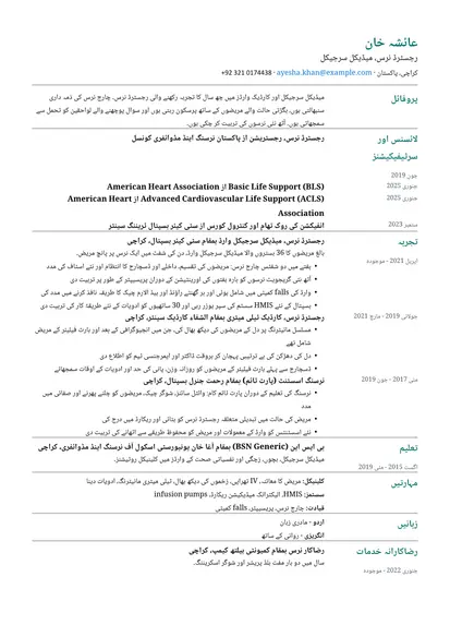 سادہ لے آؤٹ میں رجسٹرڈ نرس کا نمونہ ریزیومے
