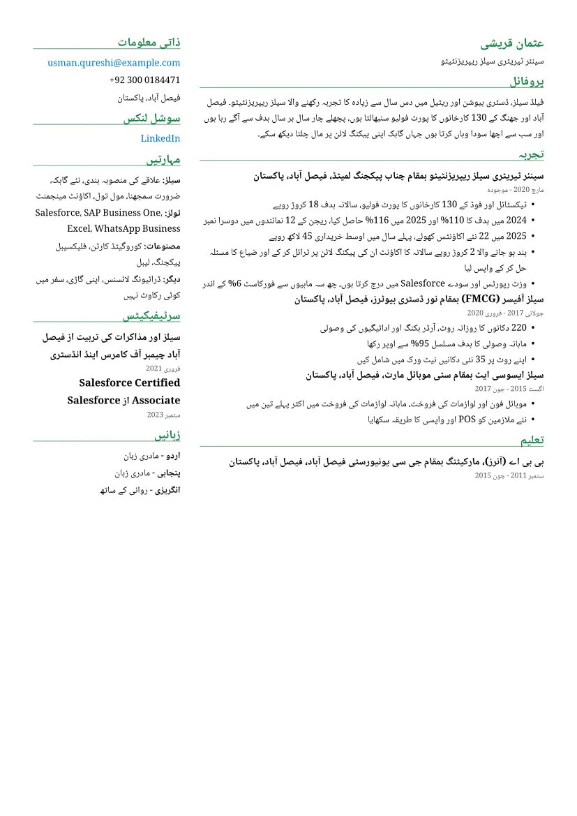 دو کالم لے آؤٹ میں سیلز ریپریزنٹیٹو کا نمونہ ریزیومے
