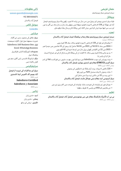 دو کالم لے آؤٹ میں سیلز ریپریزنٹیٹو کا نمونہ ریزیومے