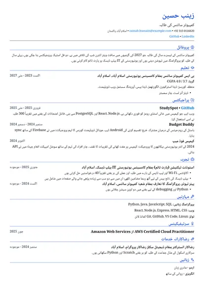 مختصر لے آؤٹ میں طالب علم کا نمونہ ریزیومے