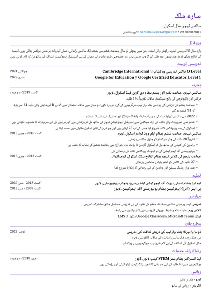 مختصر لے آؤٹ میں ٹیچر کا نمونہ ریزیومے